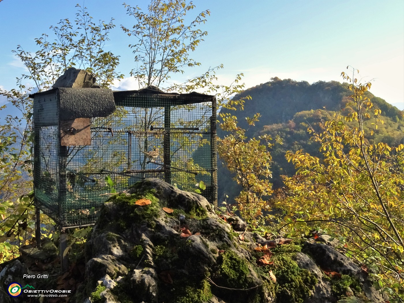 31 Tordo in gabbia con vista verso il Corno e Zuccone dell'arco.JPG